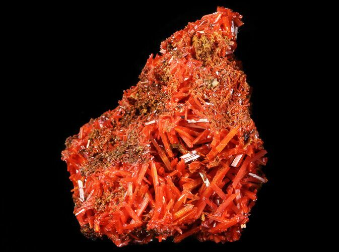 Bright Orange Crocoite Crystals - Tasmania #64356